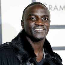 Akon net worth